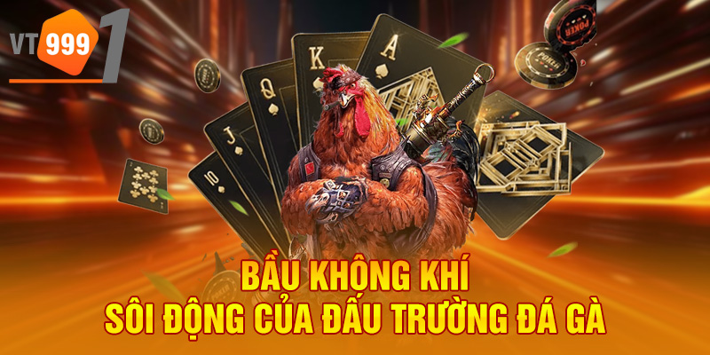 Bầu không khí sôi động của đấu trường đá gà
