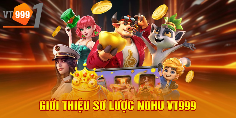 Giới thiệu sơ lược nohu VT999