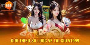 Giới thiệu sơ lược về tài xỉu VT999