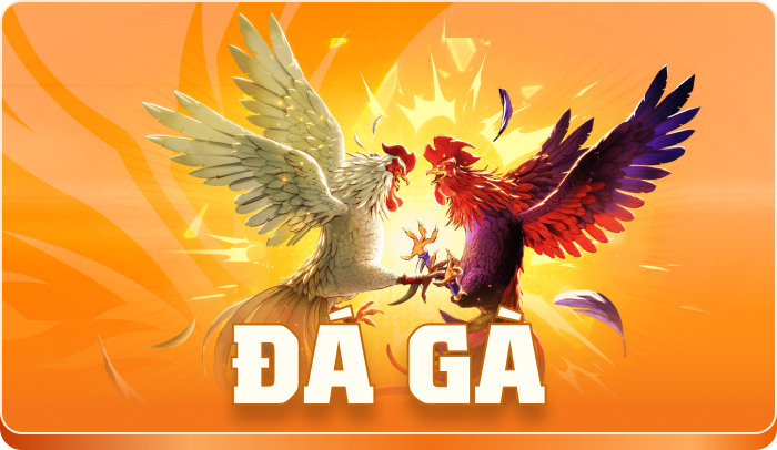 vt999 đá gà